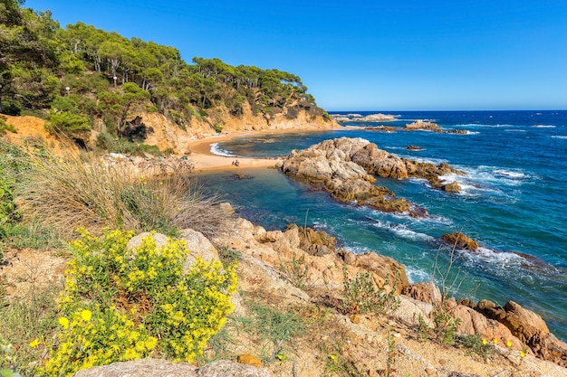 Nice detail from Costa Brava coastal in Spain, La Fosca