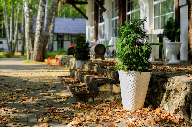 Una bella entrata di una casa di lusso sul paesaggio esterno