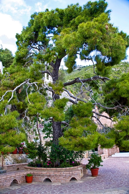 花と緑の芝生のある素敵な庭園