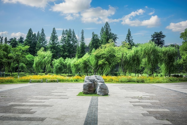 Nice green forest landscape in the city