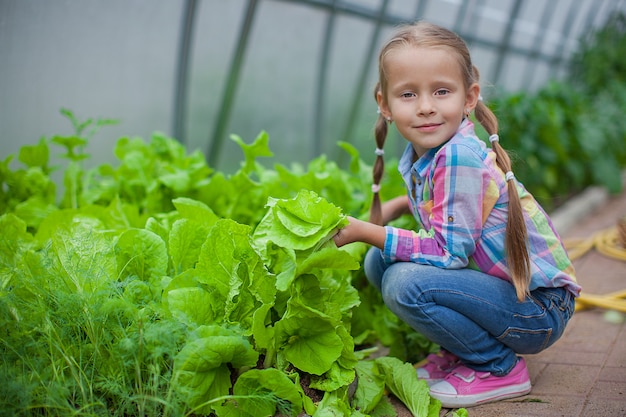 Nice little girl collects the crop in the greenhouse