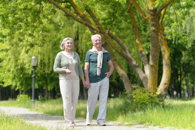 Nice Mature couple in a spring park