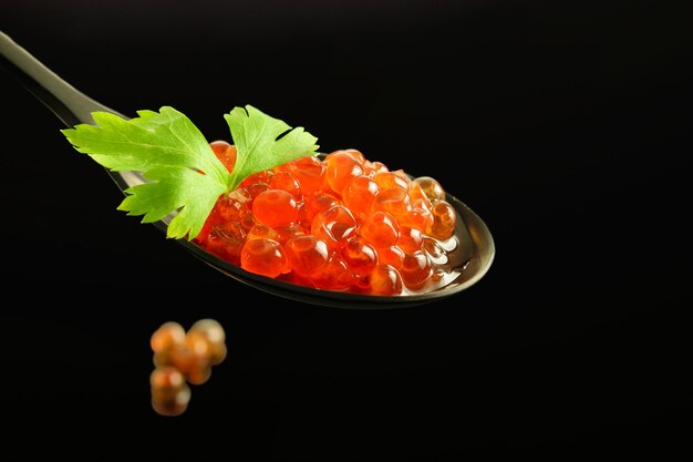 Nice modern black spoon with fresh red caviar and parsley on the black reflective background. Healthy fresh food concept.