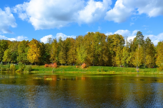 Nice park with pond in autumn