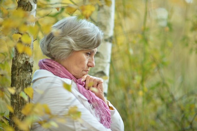 Nice sad old woman on the autumn background