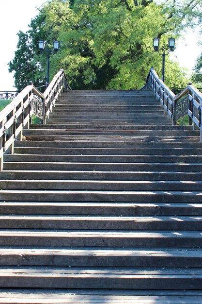 都市公園の素敵な木の階段