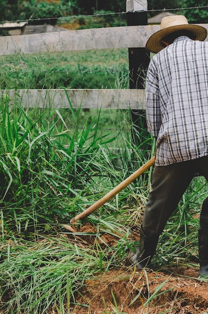 Niet-identificeerbare landarbeider die onkruid maait met een schoffel in een boerderij