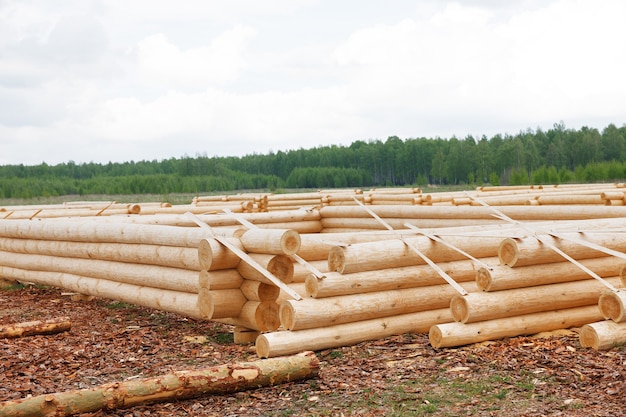 Nieuw houten huis gebouwd uit boomstammen