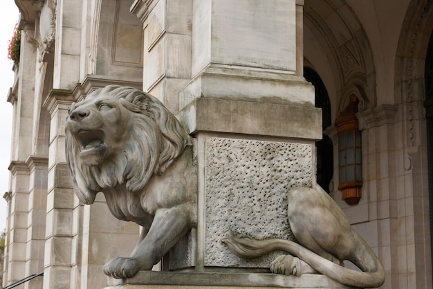 Foto nieuw stadhuis van hannover