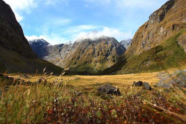 Nieuw-Zeeland Fiordland bij het Milford Sound