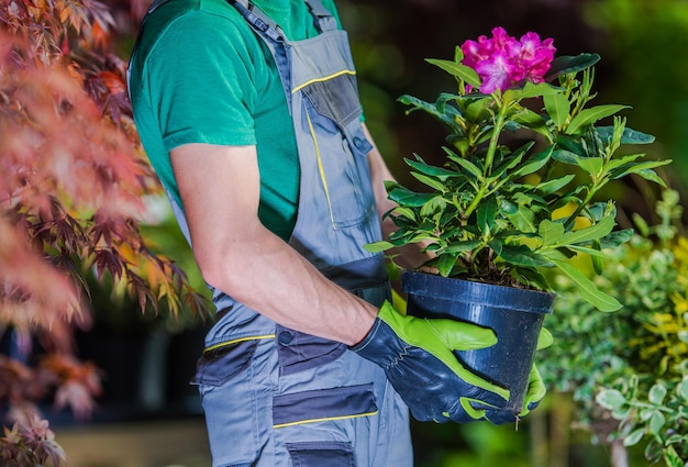 Nieuwe bloemen planten