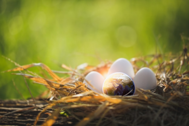 Nieuwe generatie van de wereld op kippennest met eieren. Aarde dag concept. Element van deze afbeelding geleverd door NASA