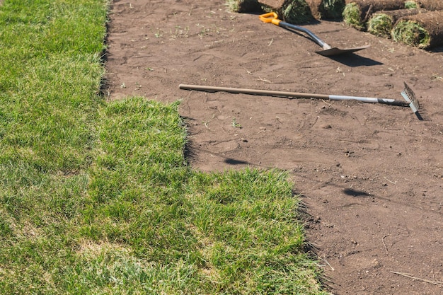 Nieuwe graszoden installeren vanuit een thema voor het bouwen van een roltuin