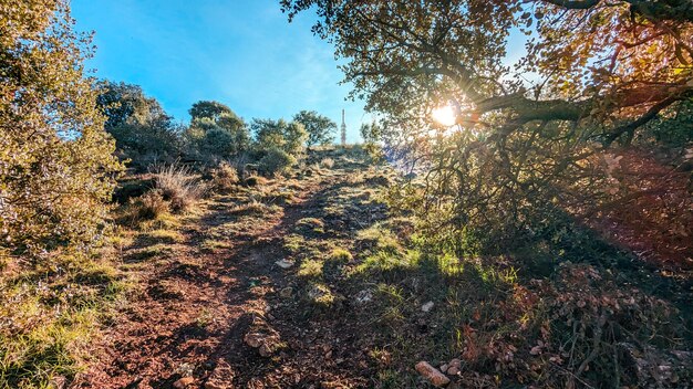 Foto nieuwe hoogten beklimmen de top van de sierra de santa ana bereiken voor een ongeëvenaard uitzicht op soria