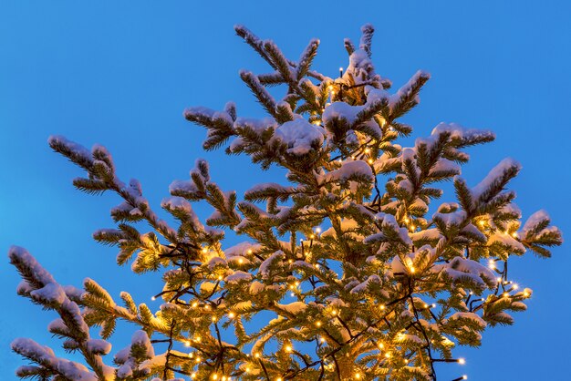 Nieuwe jaarspar die met Kerstmislichten wordt verfraaid