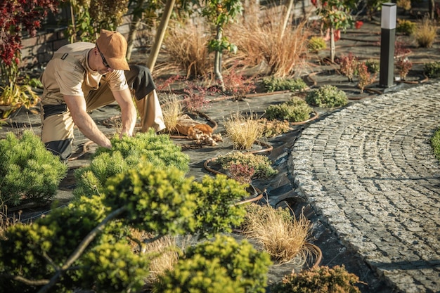 Foto nieuwe tuinbomen planten