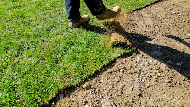 Nieuwe turfgras installatie professionele tuinman. Rollen gras op de achtertuin.
