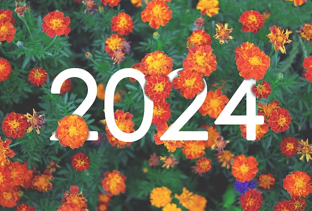 Nieuwjaar 2024 witte tekst verborgen in oranje en gele marigold bloemen