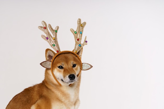 Nieuwjaar en kerstconcept van hert met hond in verband van gewei uitgevoerd door een gemberhond met...