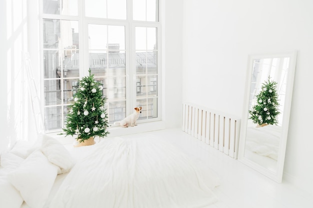 Foto nieuwjaar interieur ruime witte slaapkamer met bed versierd kerstboom spiegel en jack russell terrier hond op vensterbank huisdier wacht op de kerstman