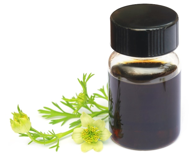 Nigella flower and essential oil in a glass bottle over white background