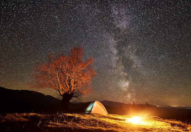 Night camping in mountain valley under starry sky