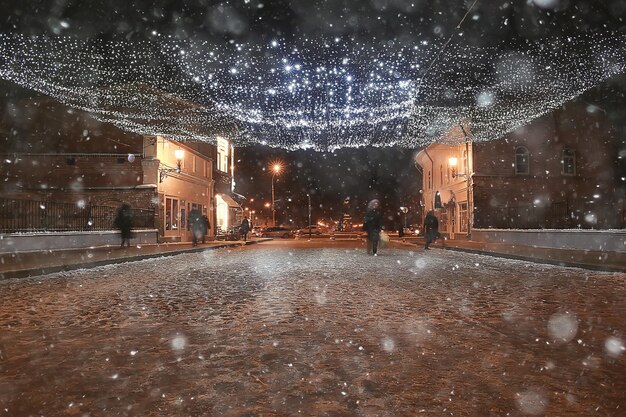 night city winter / landscape in January city lights decorated for holidays, trees in a city park, winter landscape