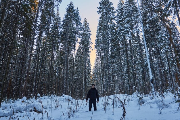 Ночь в темном лесу, прогулка по лесу.