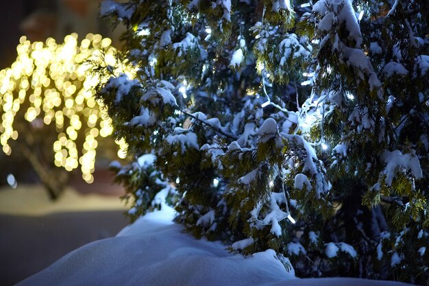 クリスマスツリーの枝に夜の電灯の花輪