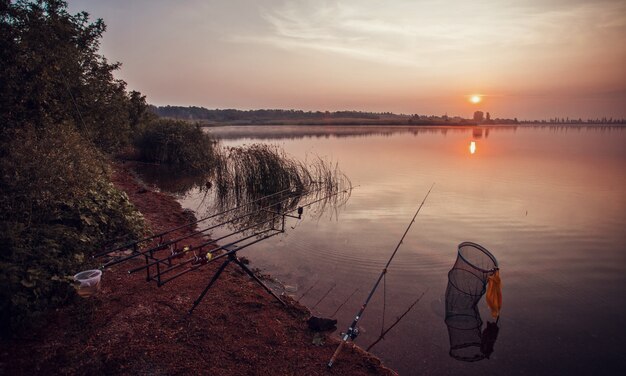 Foto pesca notturna, canne da pesca, canne da pesca da vicino