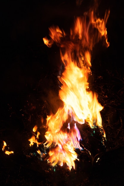 Night forest landscape Bonfire at the summer evening bonfire with sparks flying around