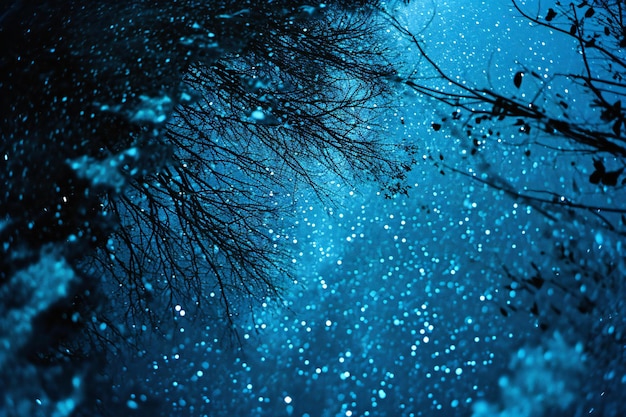 Photo night forest with falling snow and bokeh lights blue toned