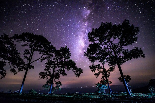 天の川のある夜の風景