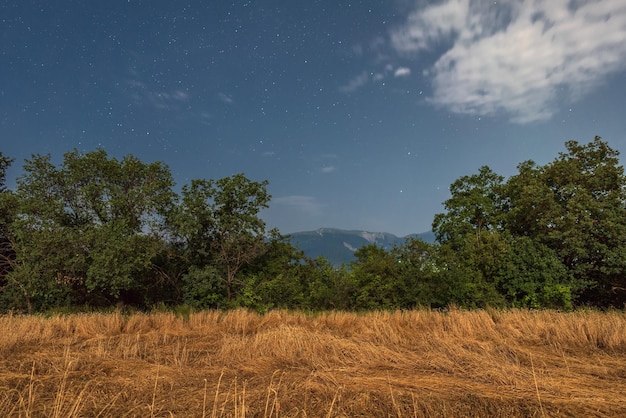 Paesaggio notturno con luce lunare