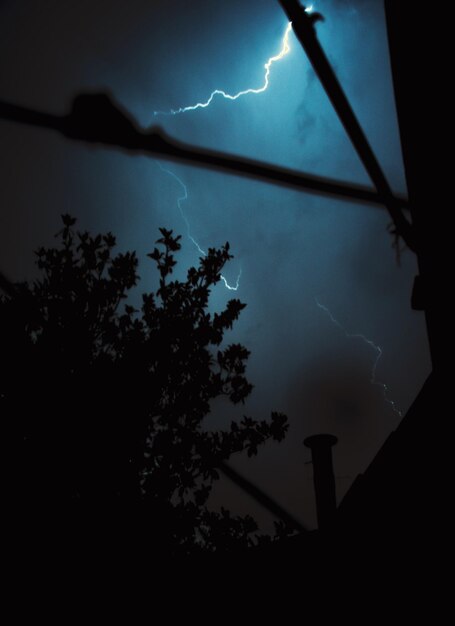 Фото Ночная молнии из заднего двора в болонье