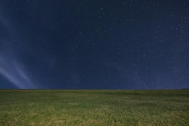 夜の牧草地の背景。夜の星空。星と夜空