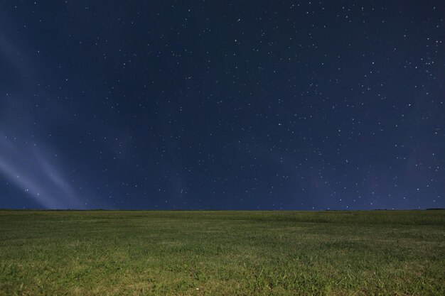 Night meadow background Night starry sky Night sky with stars