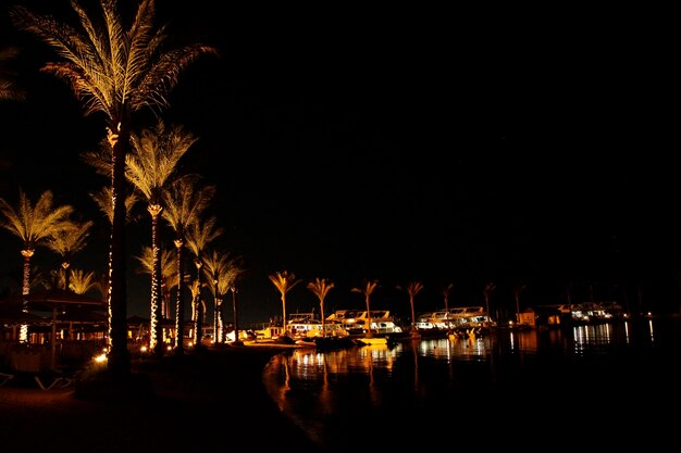 Night panorama with view of illuminated palm trees on seacoast of Hurghada Tropical resort Beautiful panorama of night sea shore with lights Night beach landscape