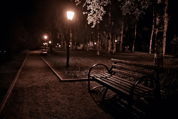 night in the park landscape, abstract view of the alley, trees and lights in the autumn blurred background