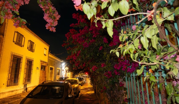 Night postcard of the city of Queretaro in Mexico with its streets with bougainvillea flowers