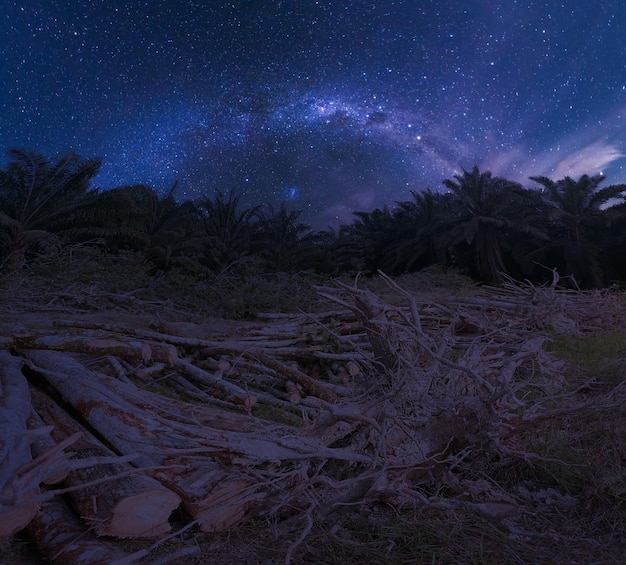 Фото Ночная сцена на пустующих сельскохозяйственных землях
