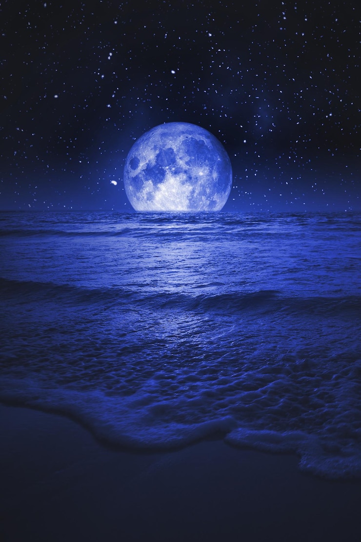 Photo night sea and full moon