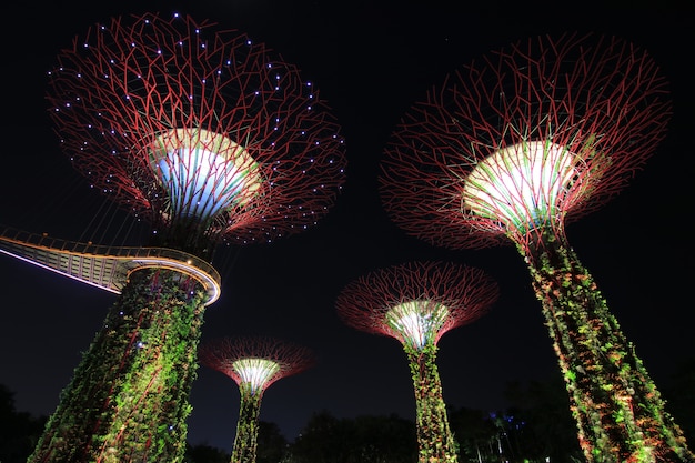 Night Show Supertrees Gardens by the Bay a nature park