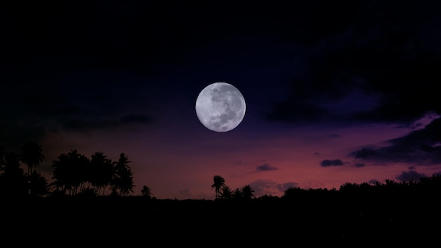 Night sky background with full moon