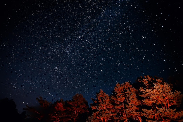 night sky landscape, abstract view summer night concept nature space