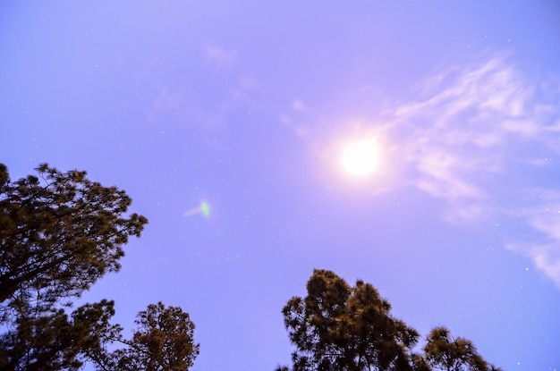 写真 夜空の写真闇の惑星と星