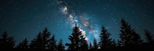 Night sky with many stars Milky Way background Banner