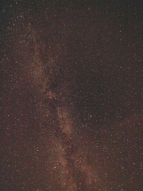 Foto cielo notturno con stelle lucide