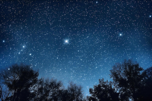 Night sky with stars and trees