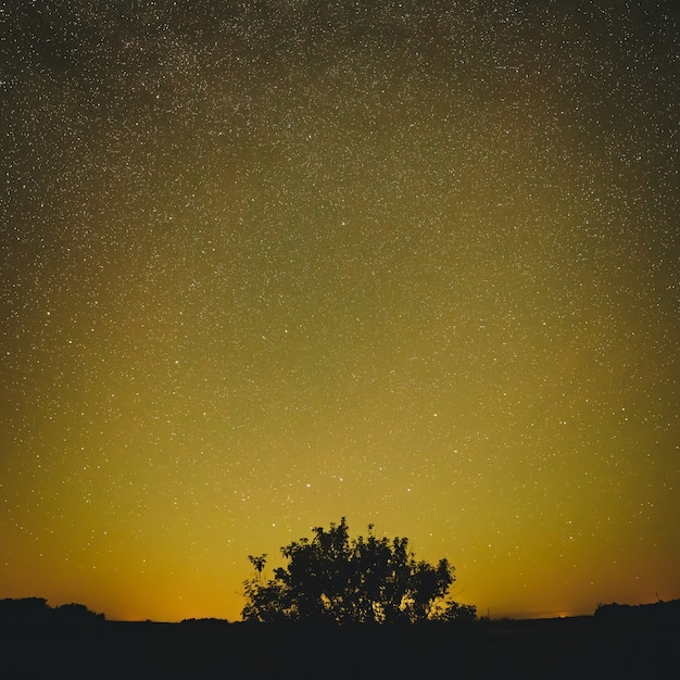 Photo night starry sky for background.